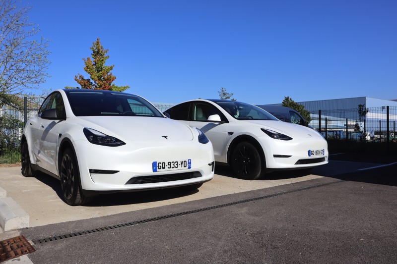 Detailing Tesla Viry